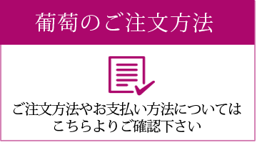 葡萄の注文方法や支払方法